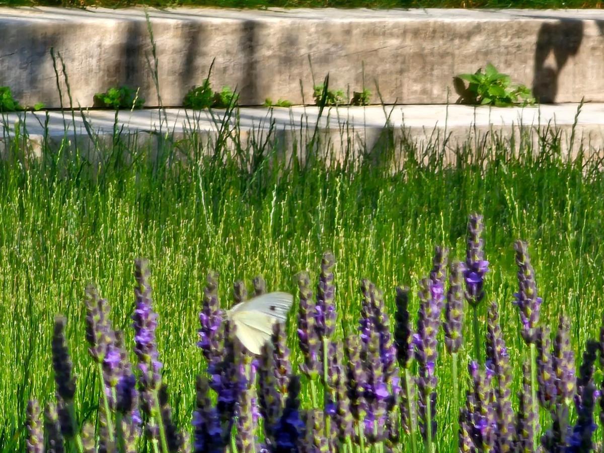Domaine Slow-Life Thairé Dış mekan fotoğraf